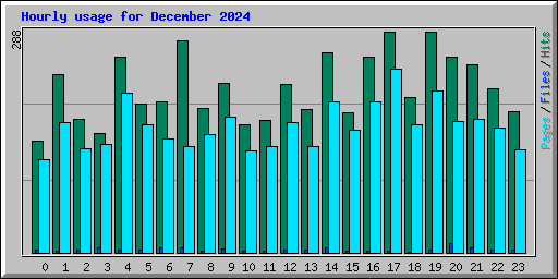 Hourly usage for December 2024