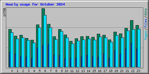 Hourly usage for October 2024