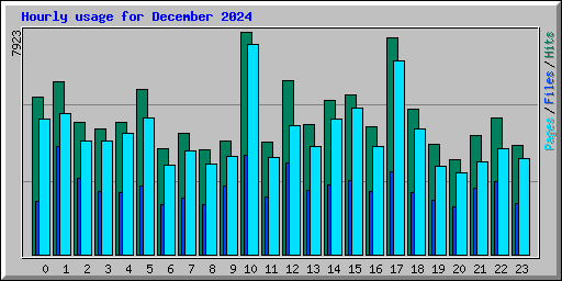 Hourly usage for December 2024