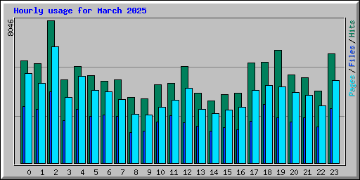 Hourly usage for March 2025