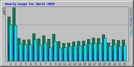 Hourly usage for April 2025