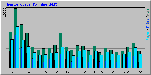 Hourly usage for May 2025
