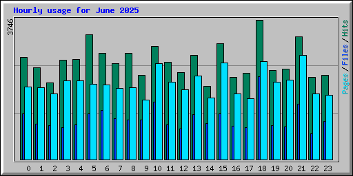 Hourly usage for June 2025