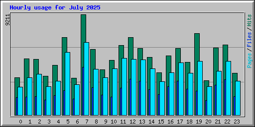 Hourly usage for July 2025