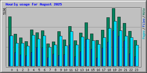 Hourly usage for August 2025